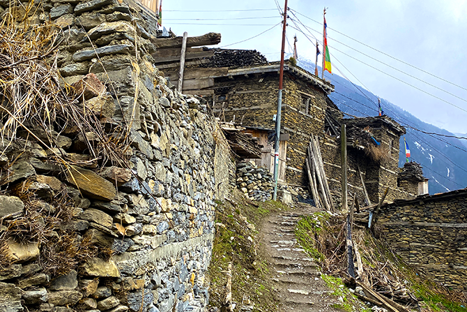 Trek Day 5