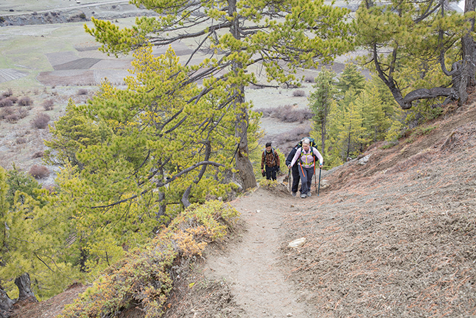 Trek Day 8