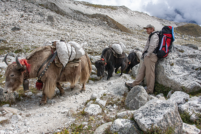 Trek Day 8