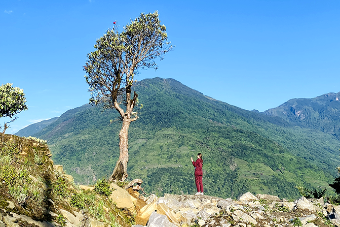 Trek Day 4